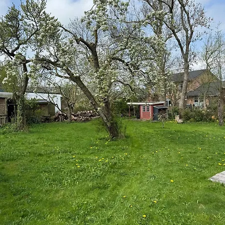 Apartment Marthas Garten Oldenswort