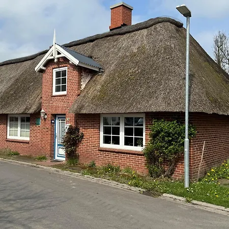 Marthas Garten Oldenswort